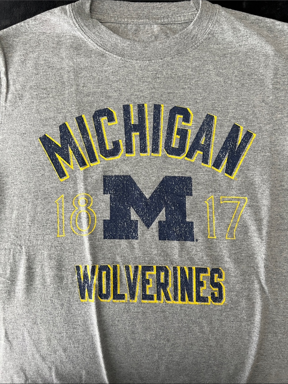 Vintage Michigan Wolverines Gray Crewneck Tee - Navy & Yellow Logo
